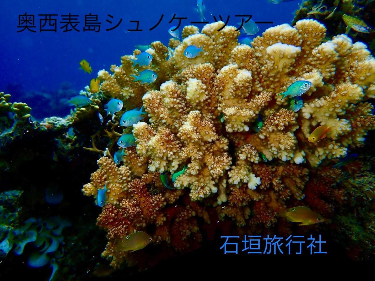 ゆい屋 Villa Ishigaki  Exterior photo